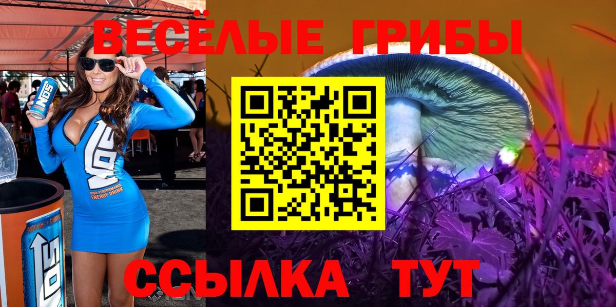 купить   Вход с VPN  Южно-Сахалинск  Псилоцибиновые грибы Magic Shrooms 