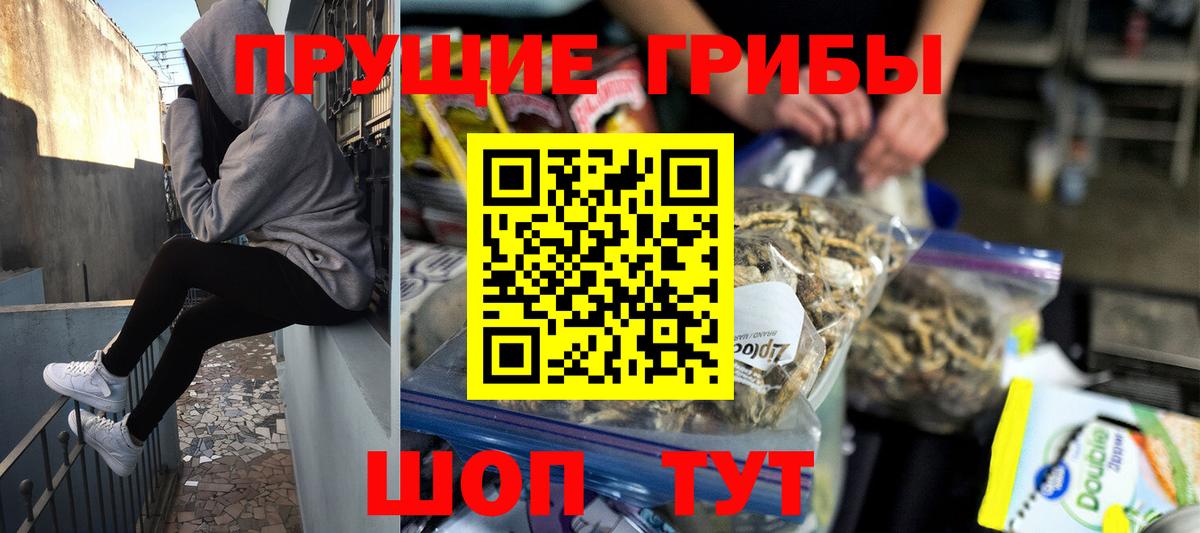Галлюциногенные грибы GOLDEN TEACHER Южно-Сахалинск