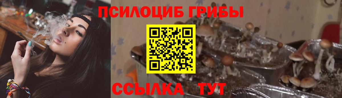 Бошки Шишки  ГАШ  Вход с VPN  ГАШИШ  Южно-Сахалинск  Меф кристаллы 